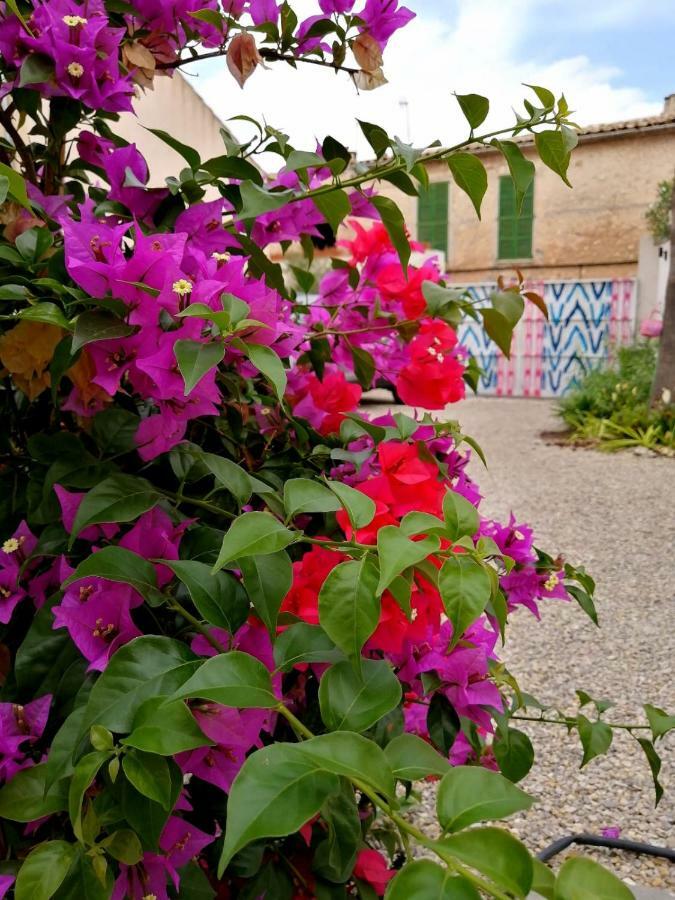 Hotel Mallorca Sineu (Mallorca)