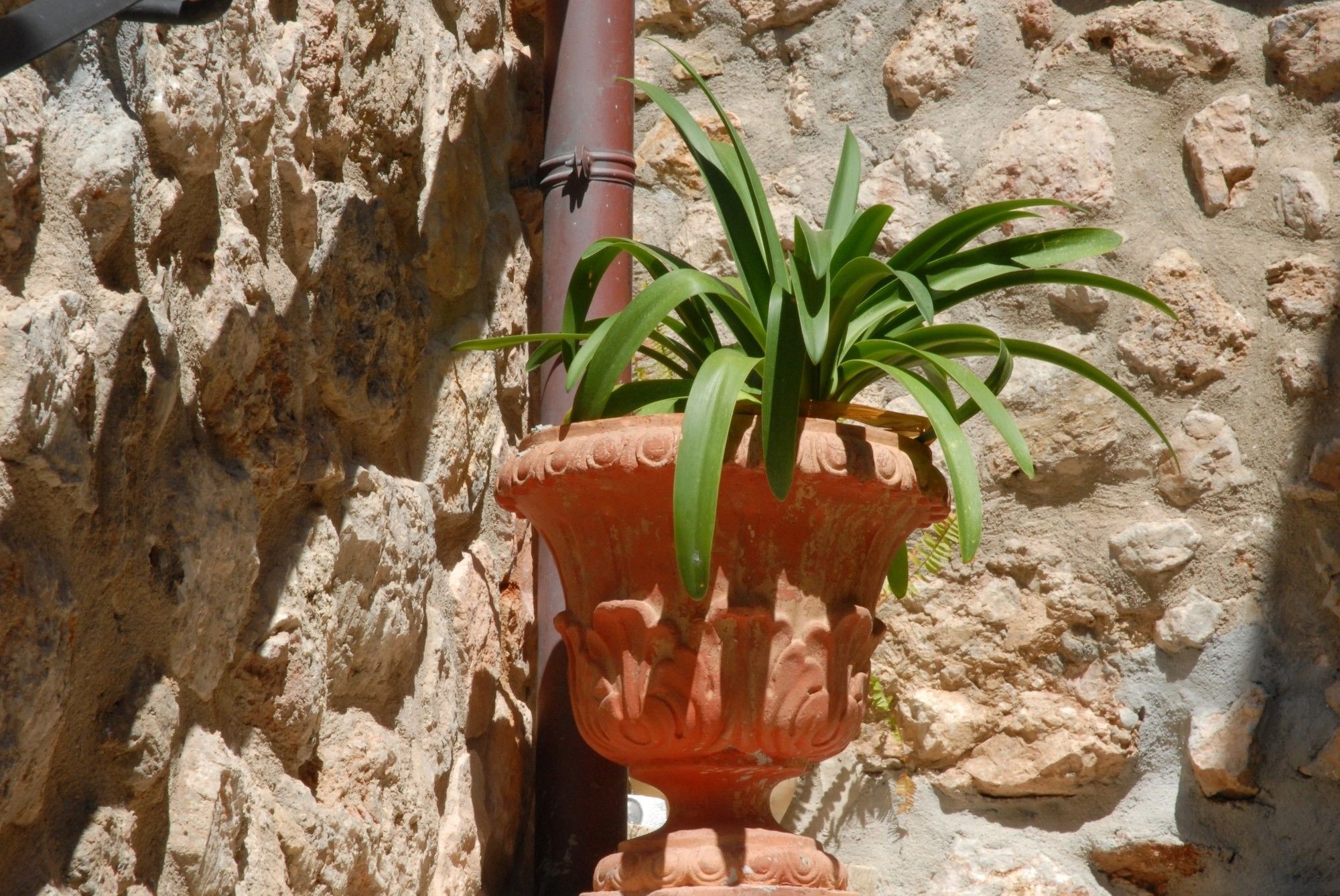 Sa Vall Valldemossa 3*