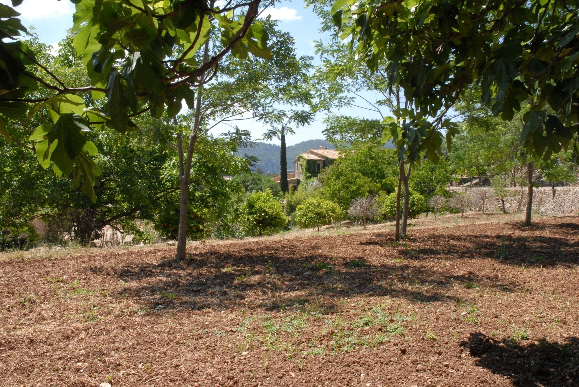 Sa Vall Valldemossa 3* Valldemossa (Mallorca)