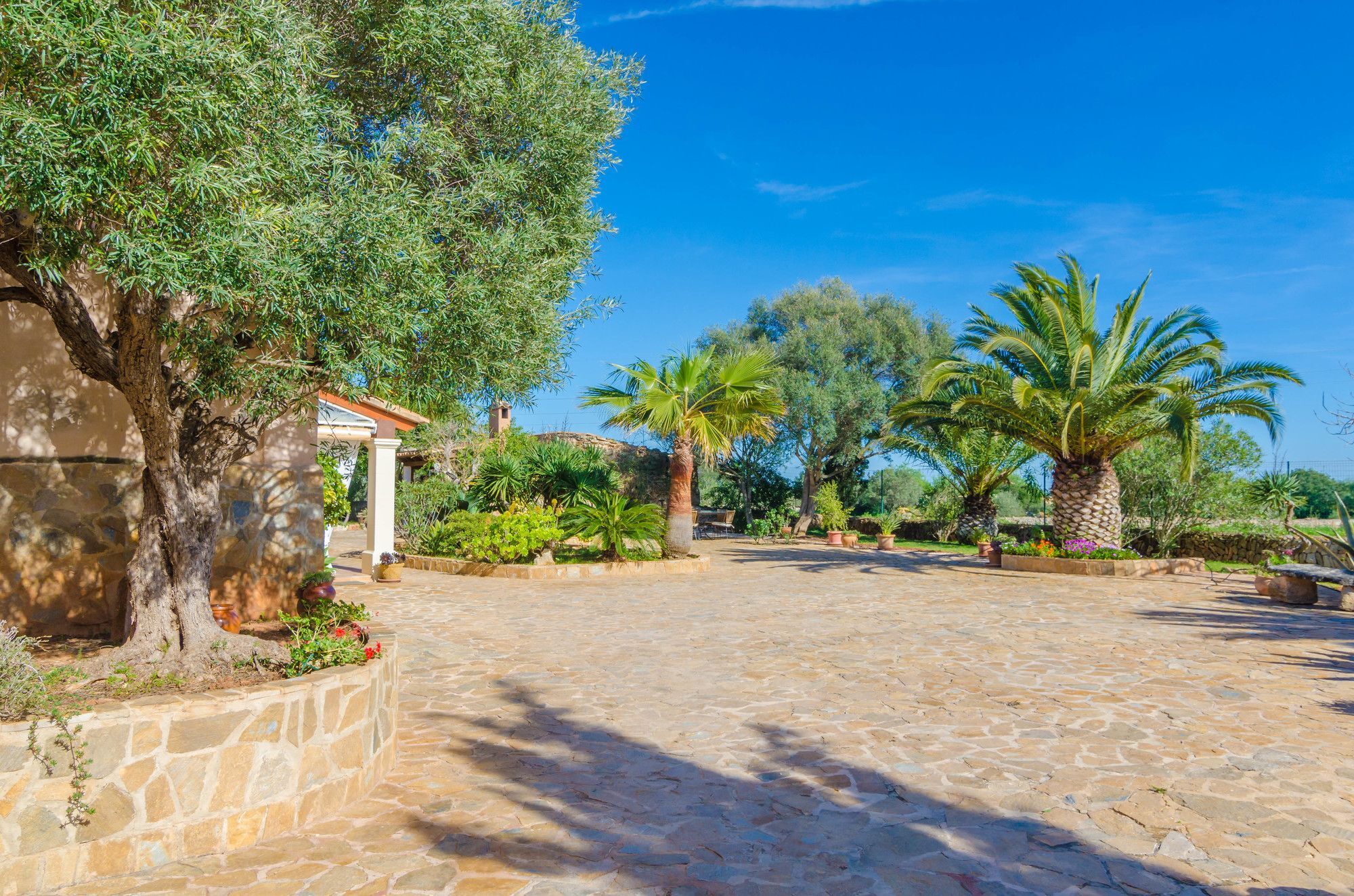 Villa Ca's Mungi Vell