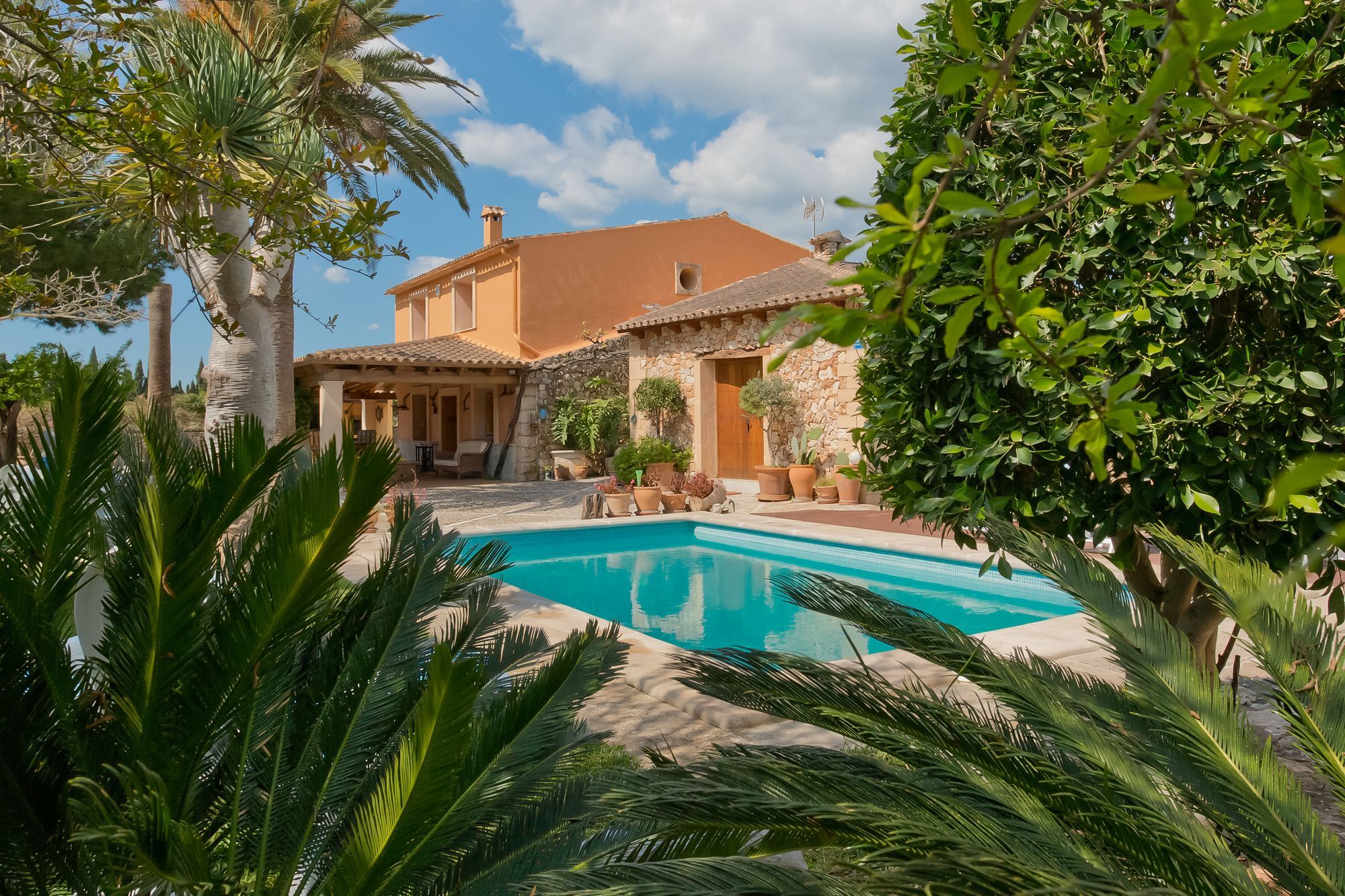 Erika * Inca (Mallorca)