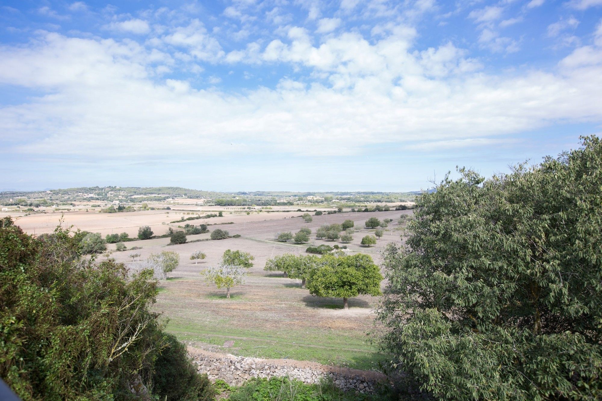 Son Veny Villa Porreras