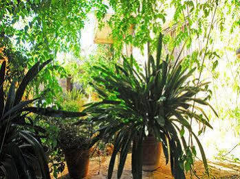 Agroturismo Sa Cova Vella Manacor (Mallorca)