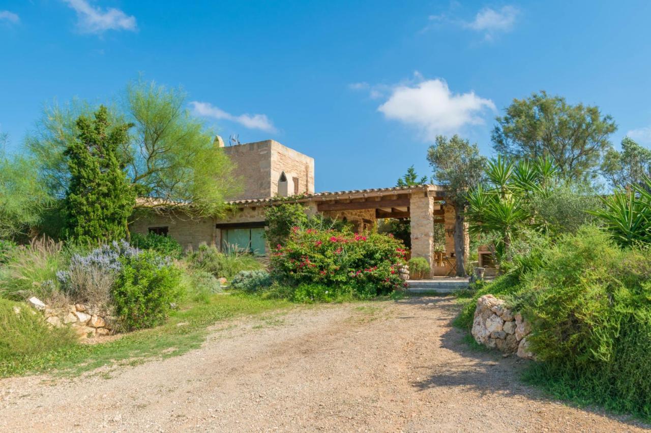Es Molí­ Des Trenc Campos (Mallorca)
