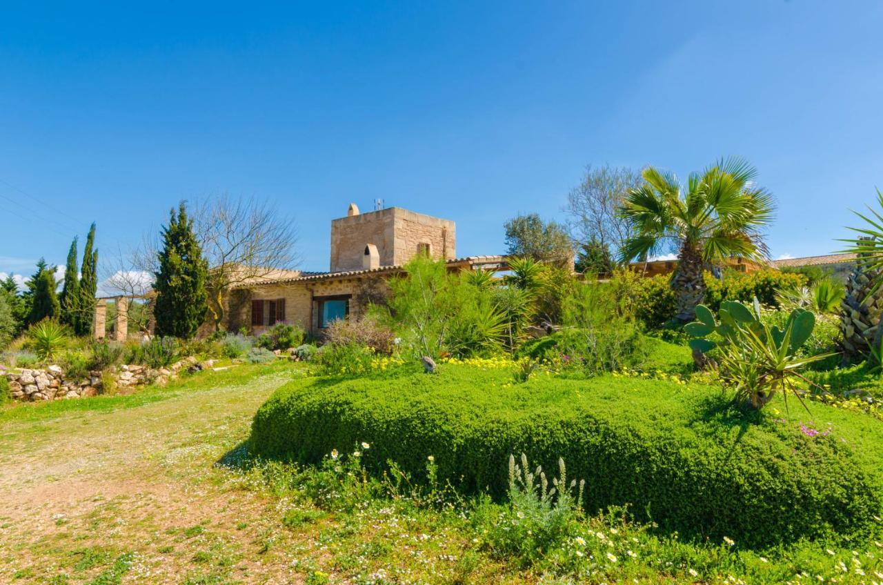 Es Molí­ Des Trenc * Campos (Mallorca)