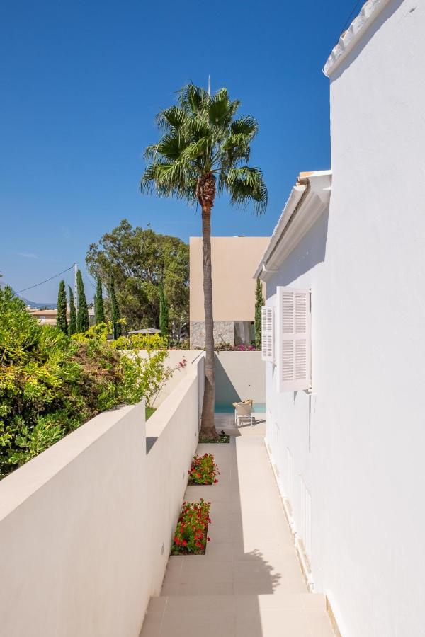 Amfora Puerto Pollensa