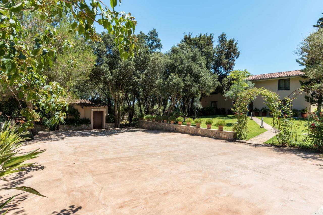 Llamas Villa
