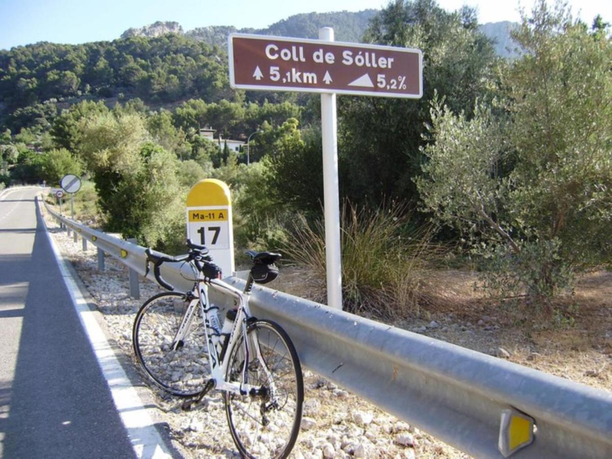 Got * Sóller