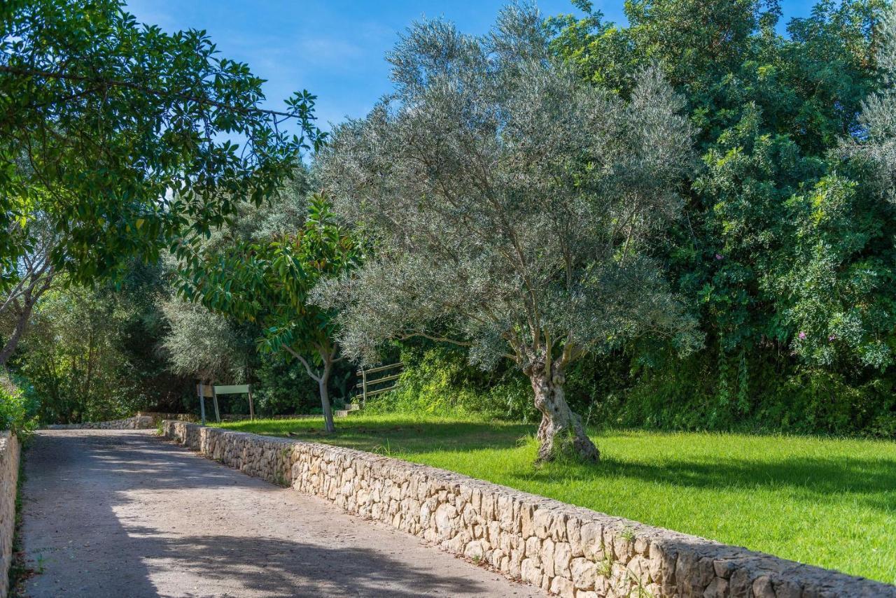 Sa Pleta Villa Petra (Mallorca)