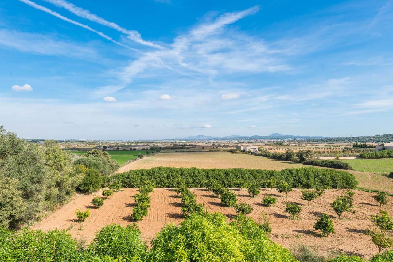 Sa Pleta Villa Petra (Mallorca)