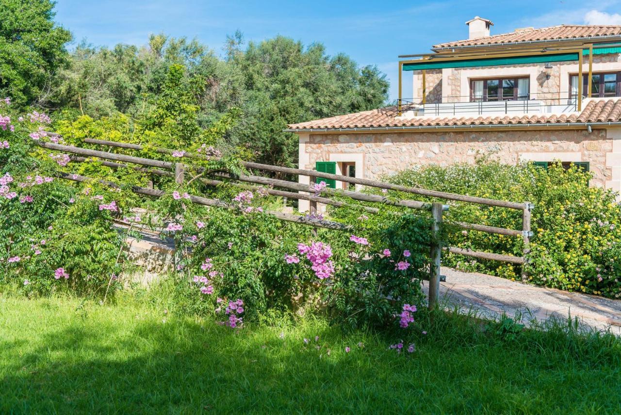 Villa Sa Pleta Petra (Mallorca)