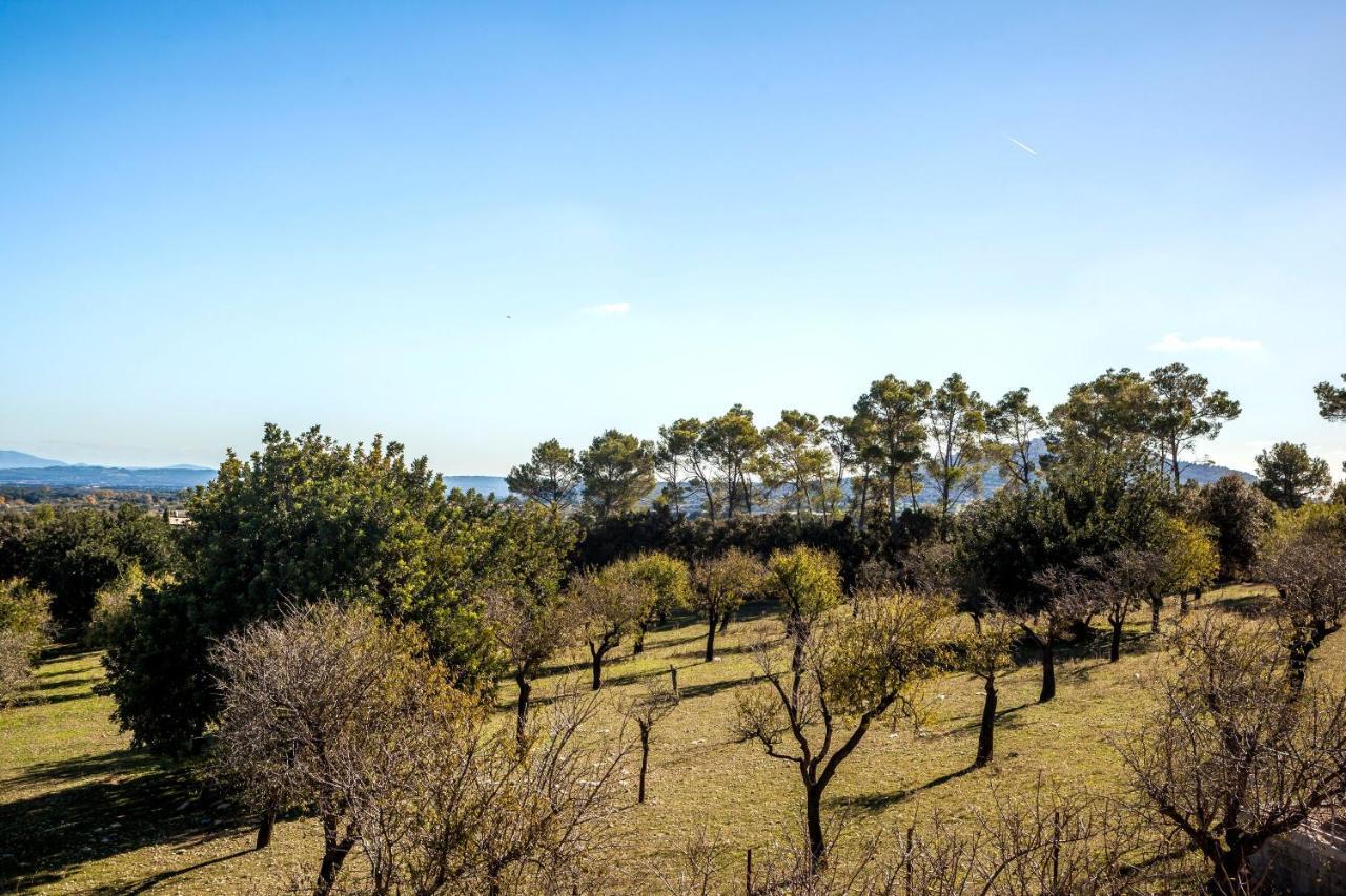 Sastre Villa Moscari