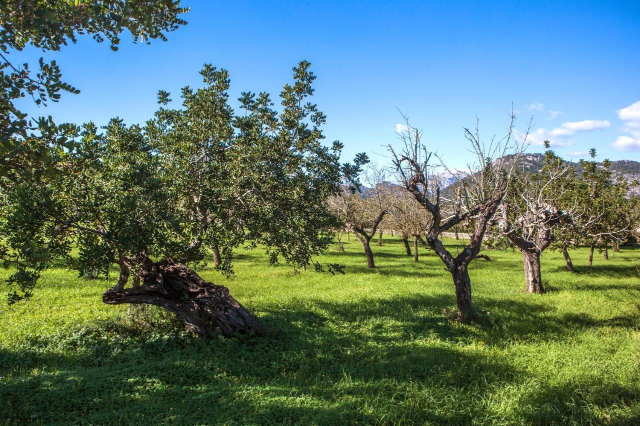 Villa Rote *