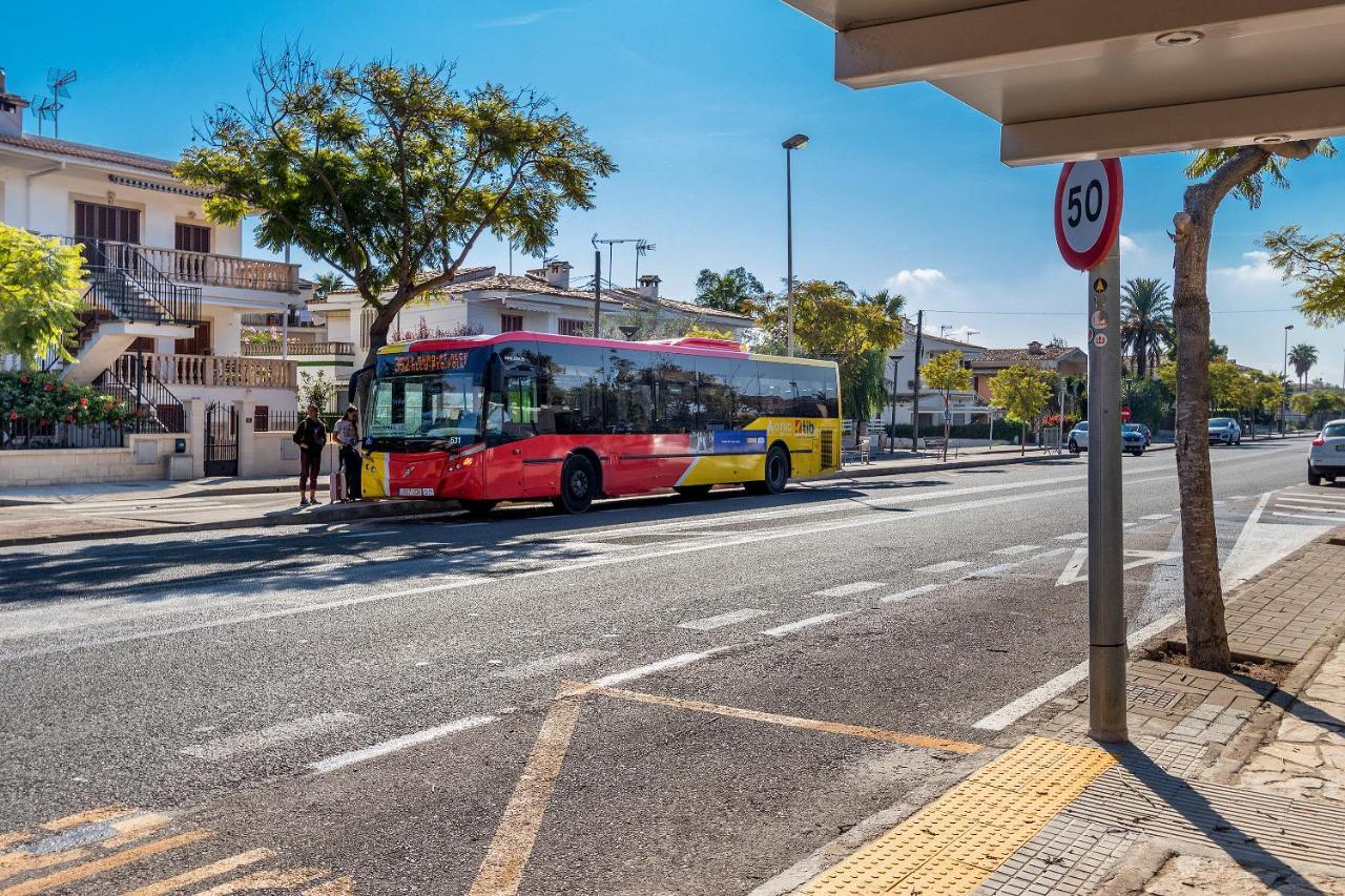 Ponent Alcúdia