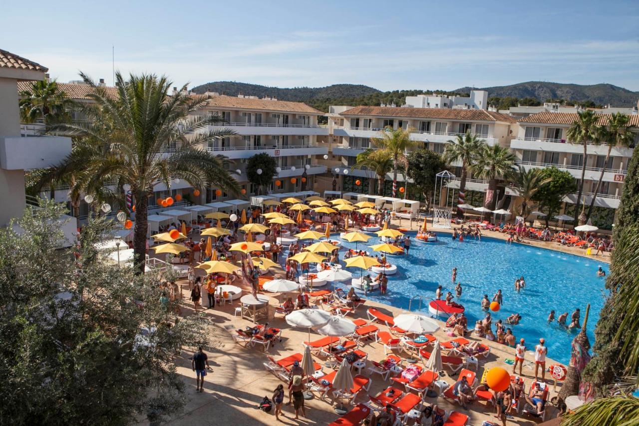 Bh Mallorca Affiliated By Fergus (adults Only) Apartamento *