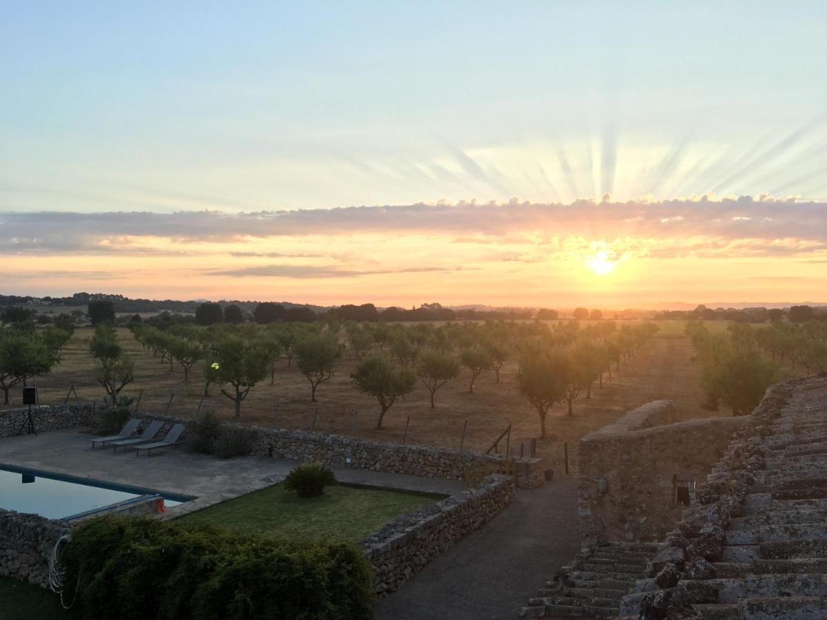 Ses Cases D'alaiar Holiday home Sencelles