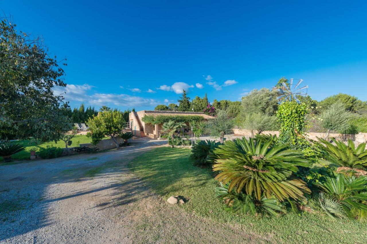 Pau, Pool&garden Close To The