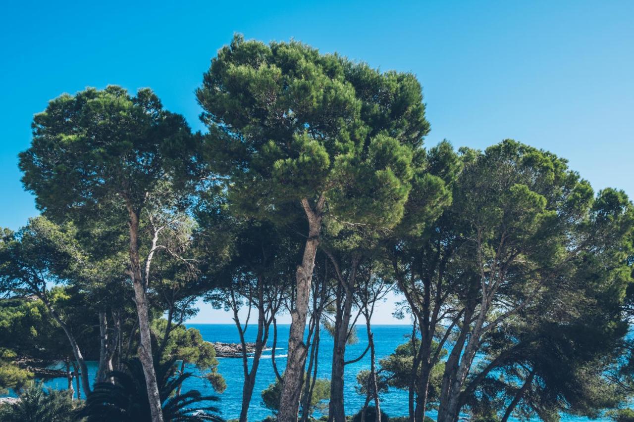 Hotel Iberostar Waves Pinos Park