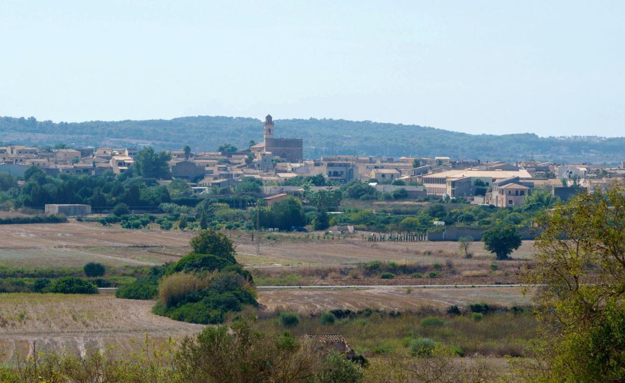 Finca Oasis