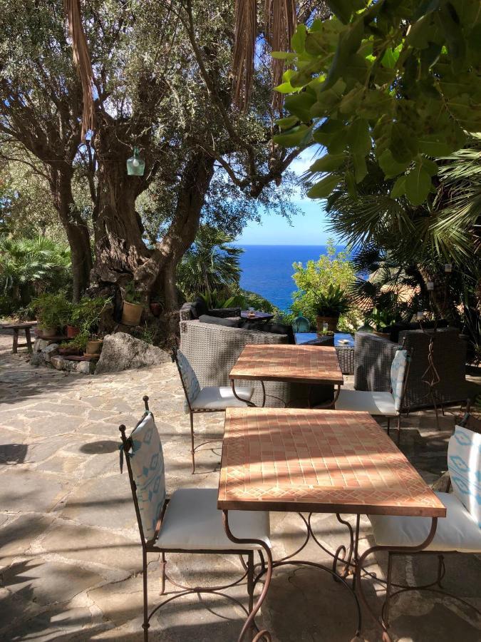 Sa Plana Petit 3* Estellencs (Estellenchs)