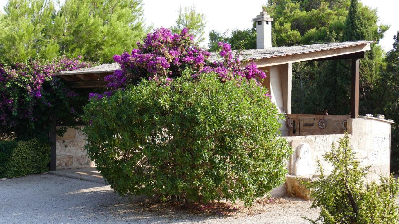 Finca Can Jose