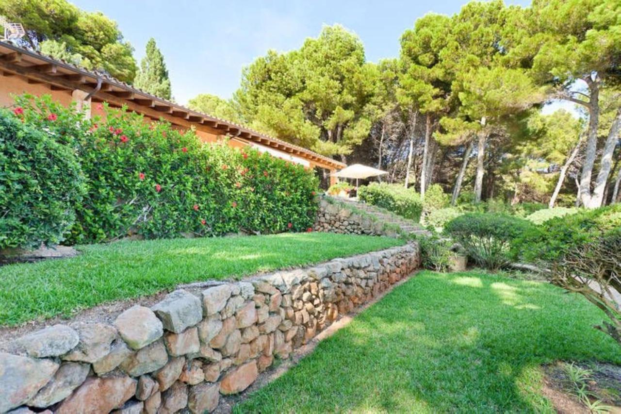 Finca L'embat Son Servera (Mallorca)