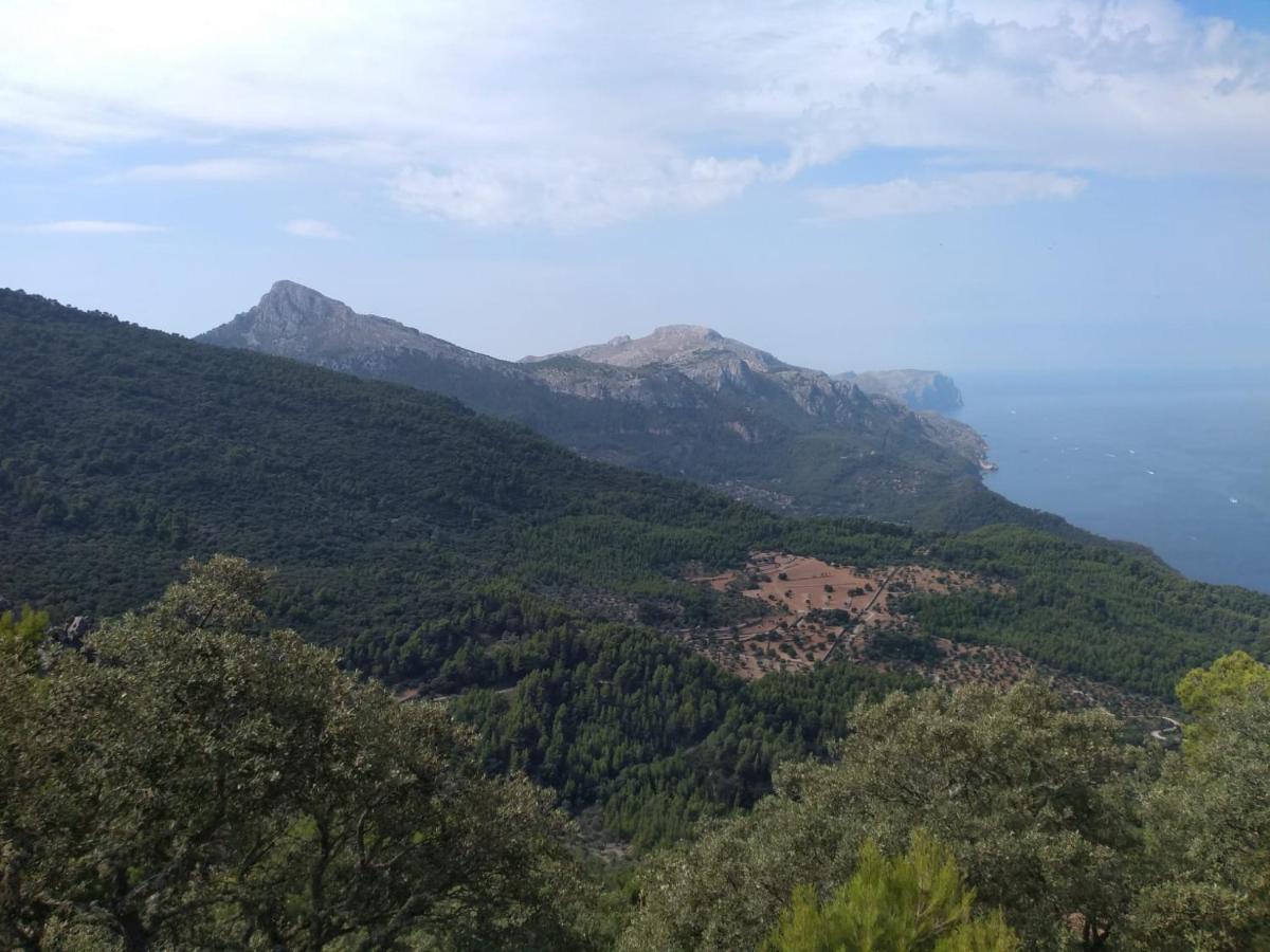 Sa Plana Petit Hotel 3*
