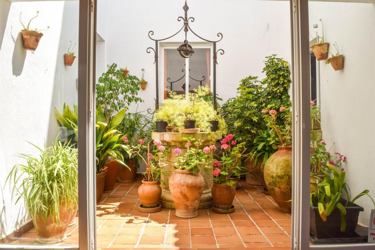 Apartamento Alexia - Complex