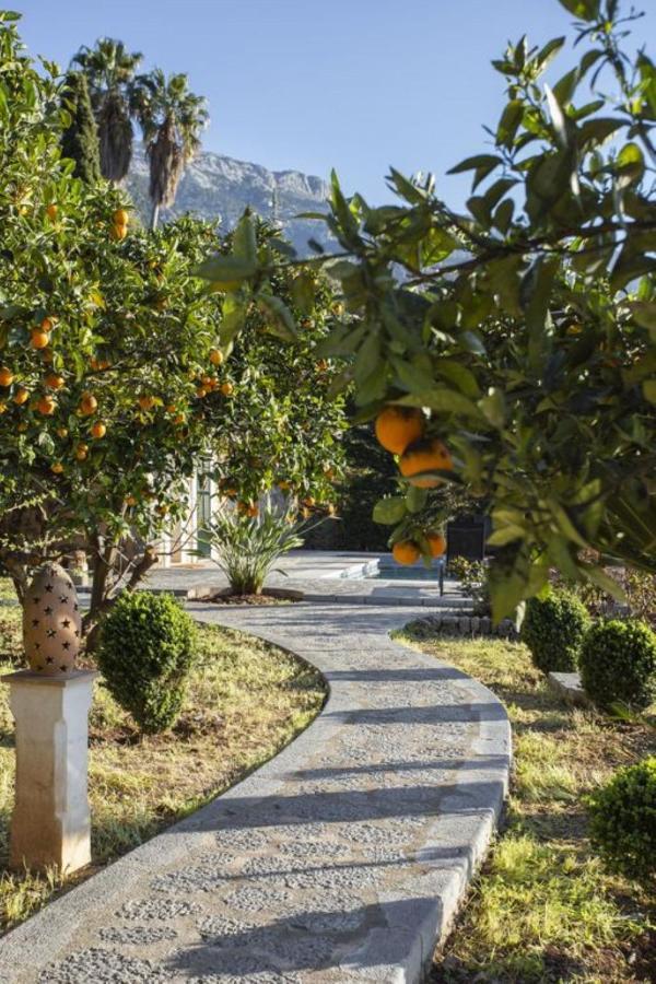 Villa Es Tarongers