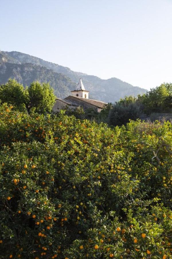 Villa Es Tarongers
