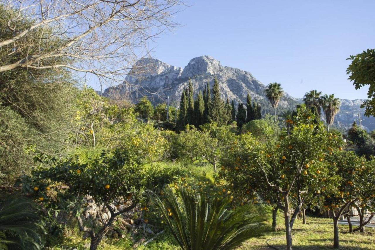Es Tarongers Villa *