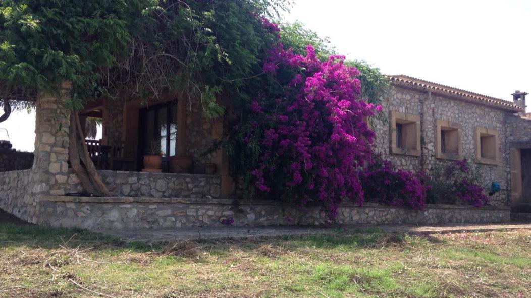 Finca Sa Cleda