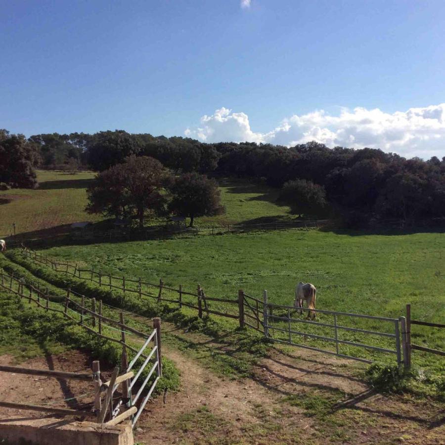 Finca Sa Cleda Llubí