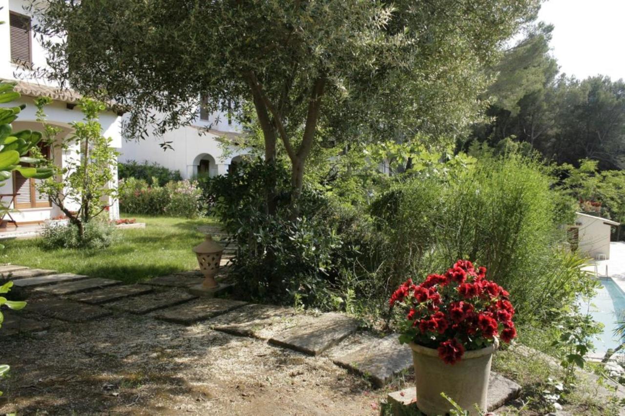 Botana 7 Villa Cala de Sant Vicenc