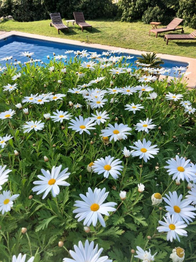 Sa Plana Petit Hotel Estellencs (Estellenchs)