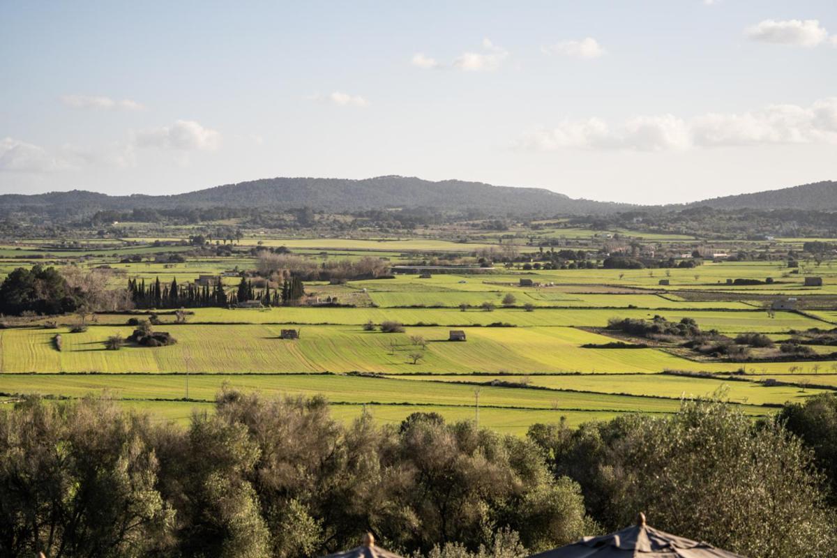 Serena Mallorca, Small Luxury Hotel