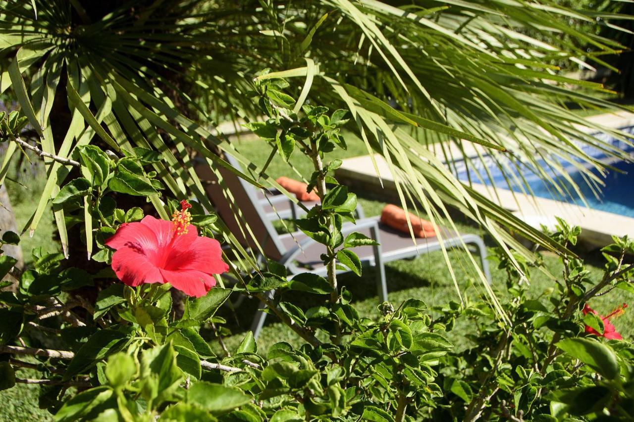 Tintorer Villa Port de Pollenca