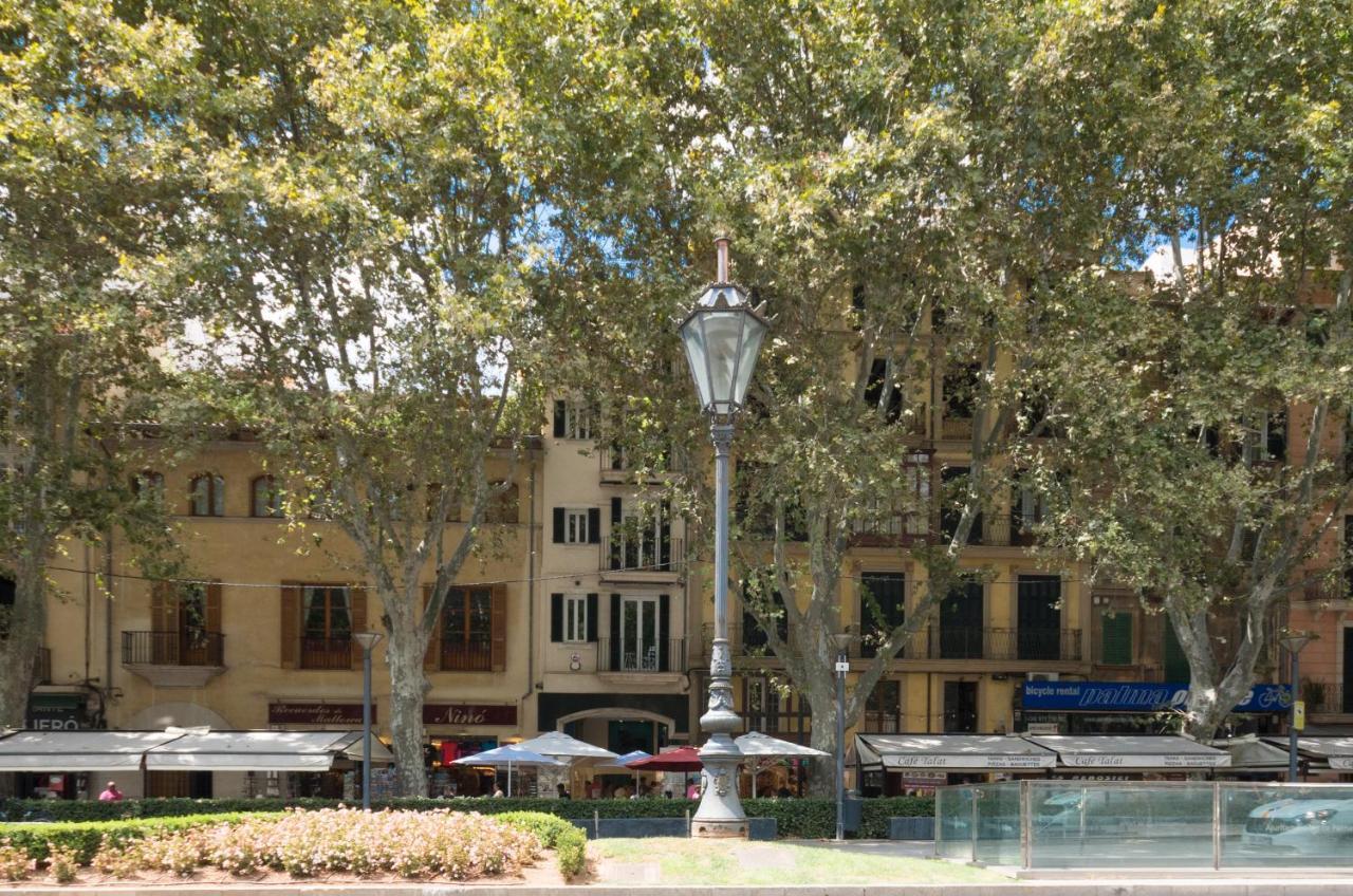 Apartamento Marsuites Palma - Turismo De Interior Palma de Mallorca