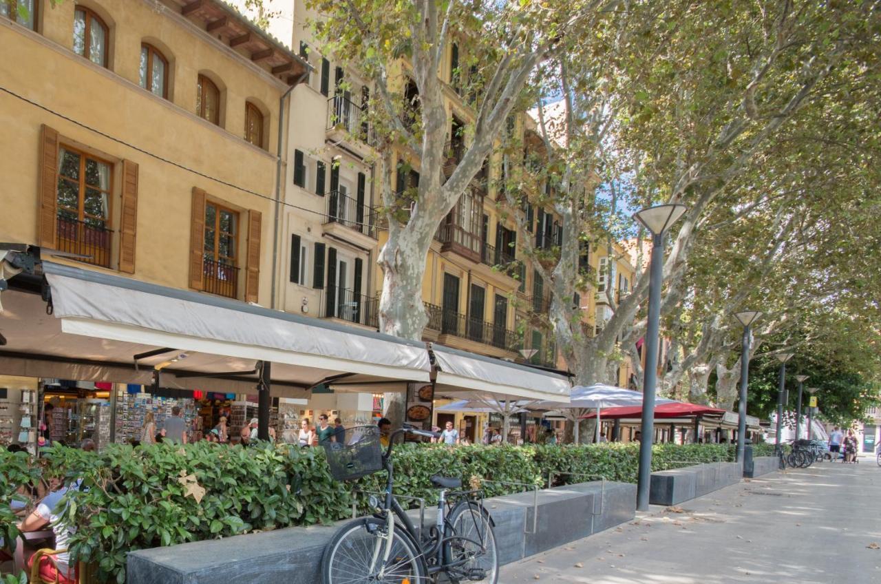 Apartamento Marsuites Palma - Turismo De Interior