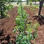 Agroturismo Na Set Centes
