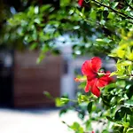 Mallorca Villa Bon Aire