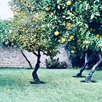 Villa Ithaka Petit