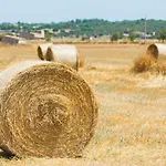 Finca S\'Era De Son Francec 123 By Mallorca Charme