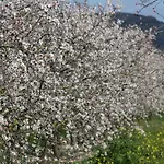Finca S\'Era De Son Francec 123 By Mallorca Charme