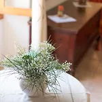 Artist\'S House In Alcudia, Close To Beaches
