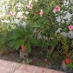 Casa Es Tamarells