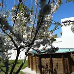 Casa Es Tamarells