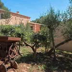 Finca Salas Nou