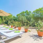 Finca Son Baulo