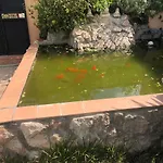 Family House With Pool Near Playa De Palma